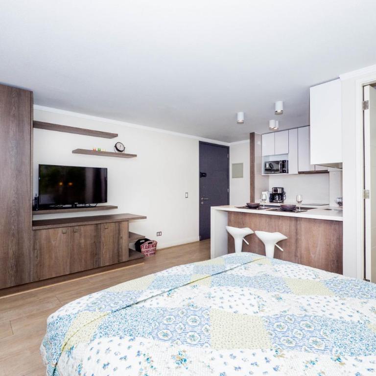 Arauco Studio Apartment - Apartamento - 3