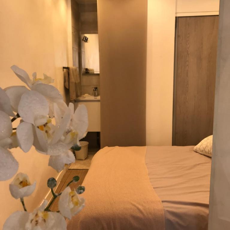 Studio tt équipé parking cœur ville - Apartment - 36