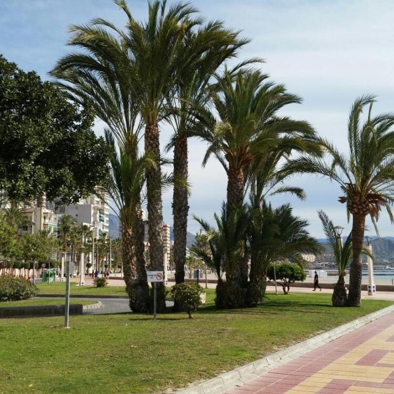 Jardin del Mar Playa Muchavista - El Campello - Alicante - Apartamento - 32