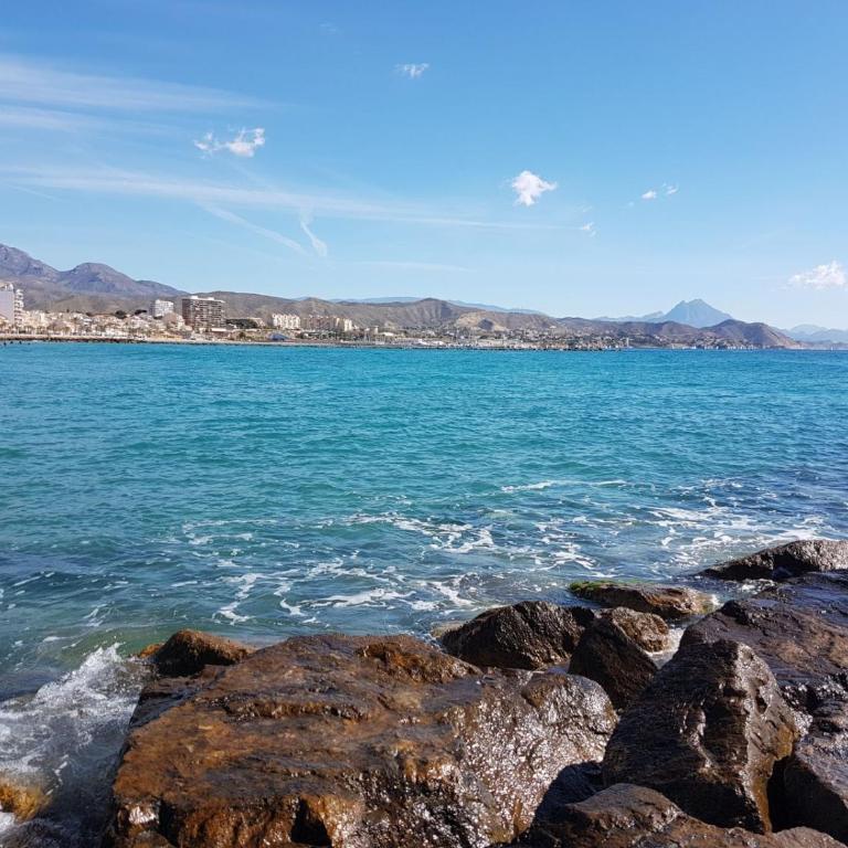 Jardin del Mar Playa Muchavista - El Campello - Alicante - Apartamento - 40