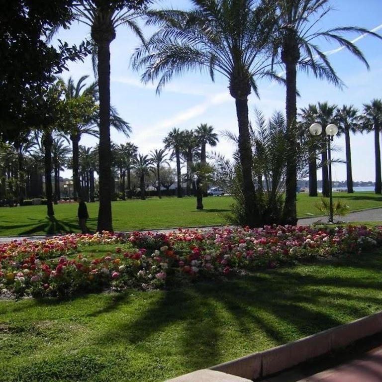Karolina Properties - Appartement Commodore Croisette - Appartement - 19