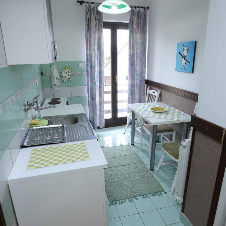 Apartments Monte Vista Zlatibor - Studio sa Pogledom na Planinu - 14