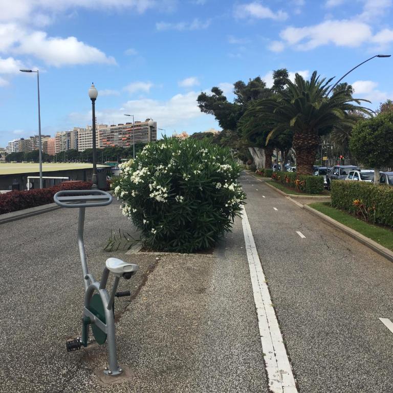 Vacacional Anaga ideal descanso parking gratuito - Apartamento de 1 dormitorio - 38
