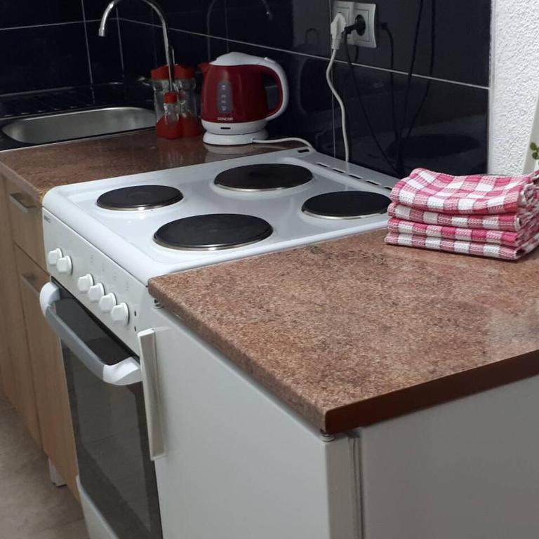 Apartmani Tajra - Apartman sa Balkonom - 12