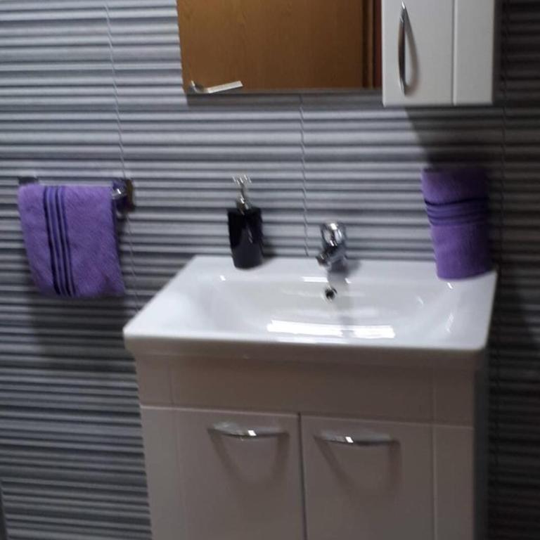 Apartmani Tajra - Apartman sa Balkonom - 13