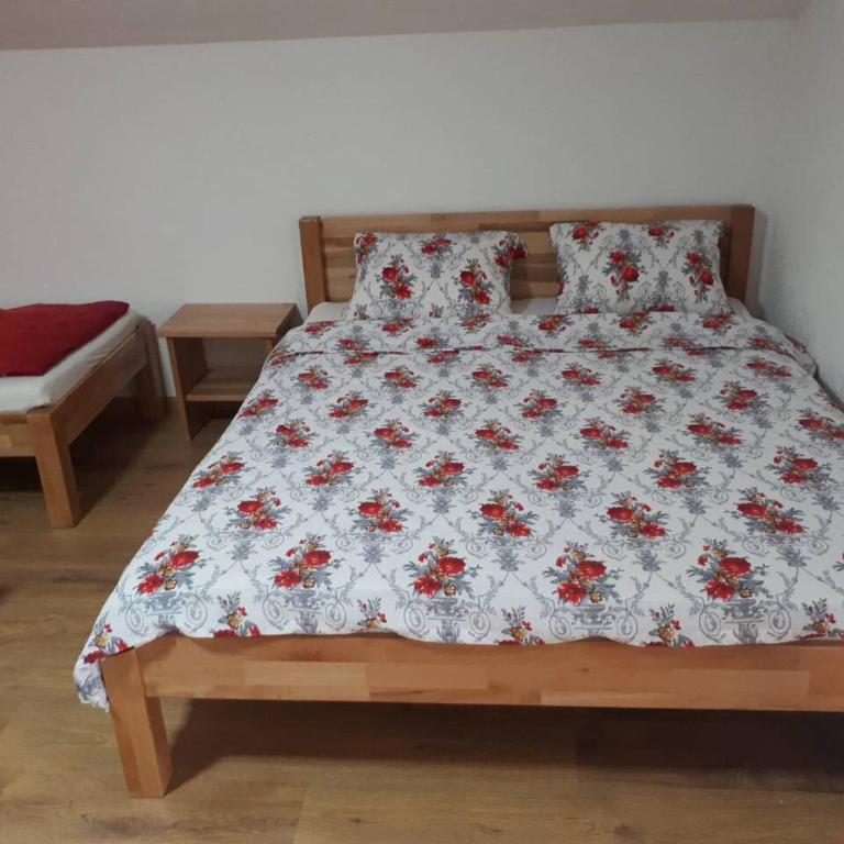 Apartmani Tajra - Apartman sa Balkonom - 11