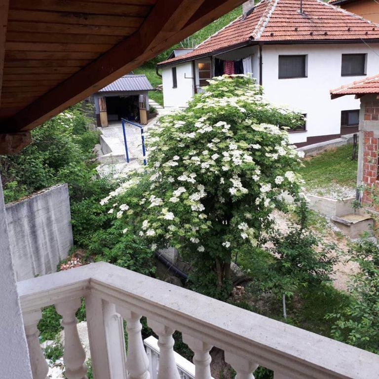 Apartmani Tajra - Apartman sa Balkonom - 15