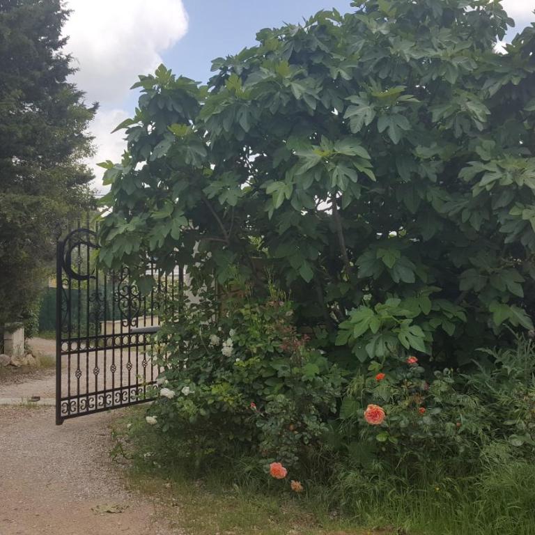 La Villa Provençale - Suite 2 Chambres - 16