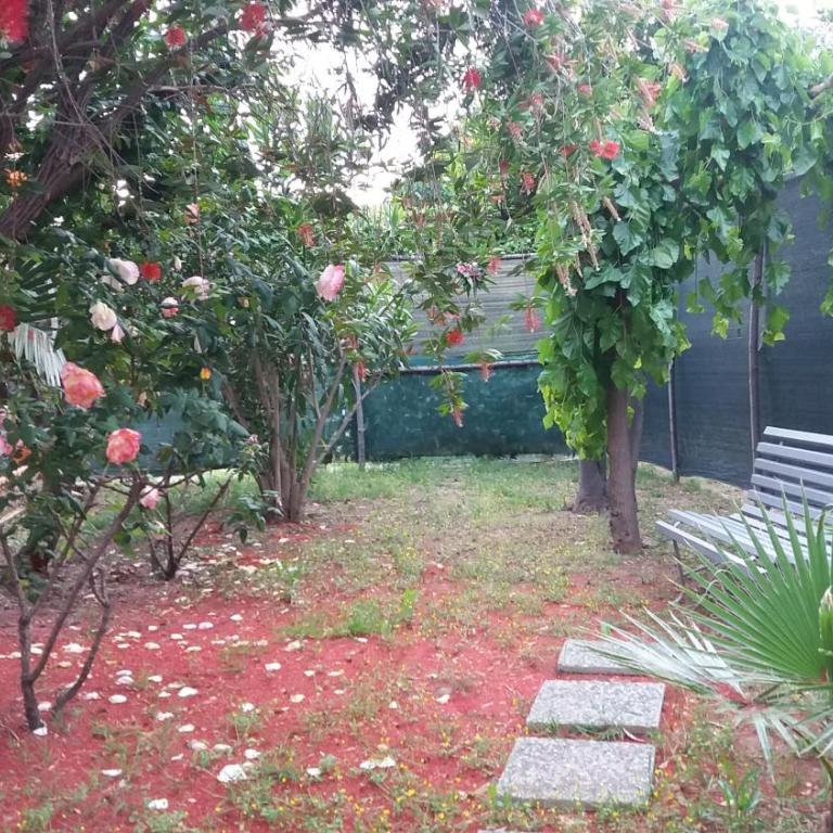 Casa Azzurra - Vacation Home - 14