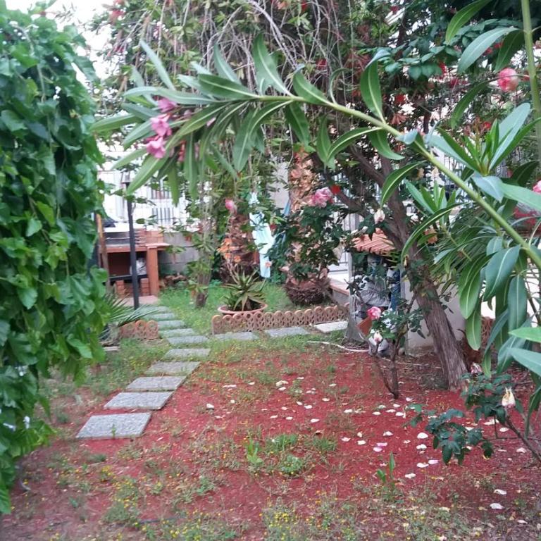 Casa Azzurra - Vacation Home - 15