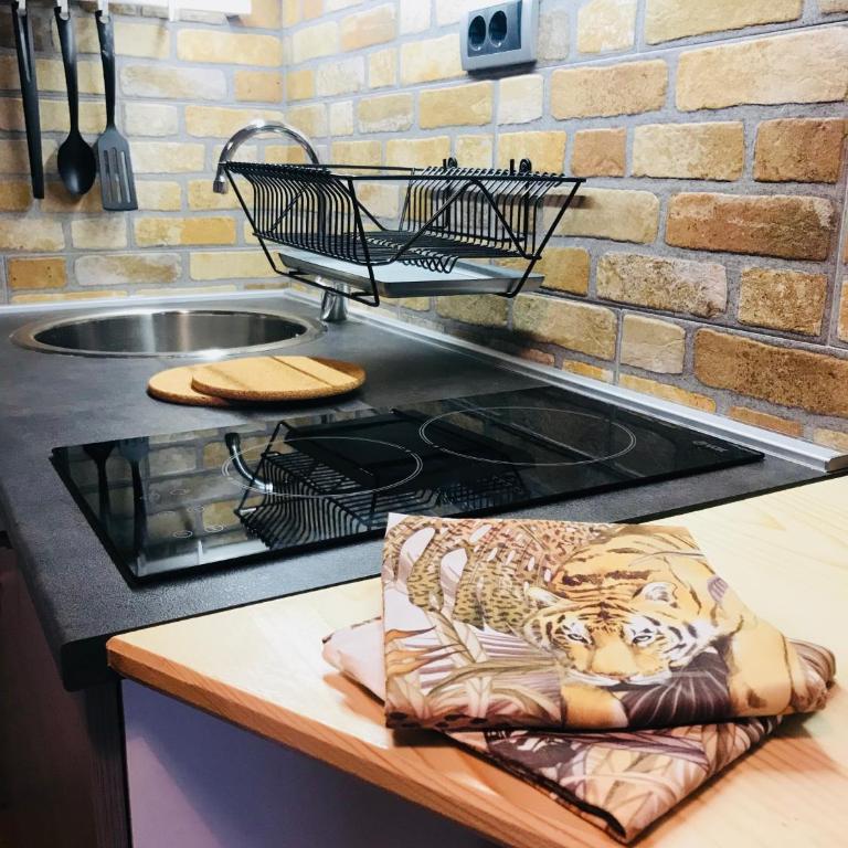 Apartment Sunčana dolina - Apartman sa 2 Spavaće Sobe - 13