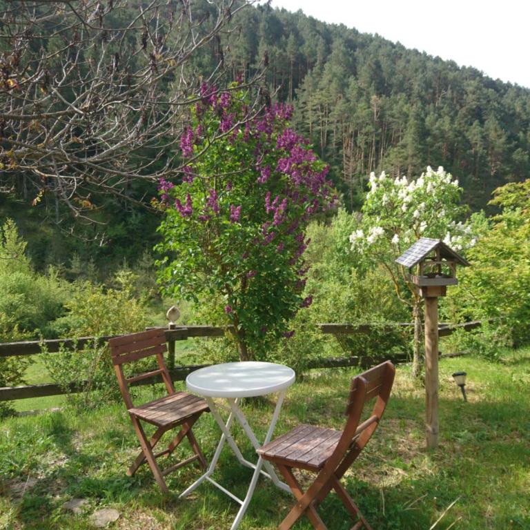Casa Turreta - Appartement - 4