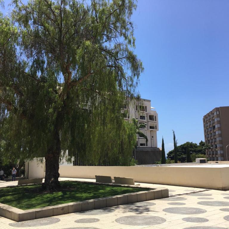 Vacacional Anaga ideal descanso parking gratuito - Apartamento de 1 dormitorio - 36