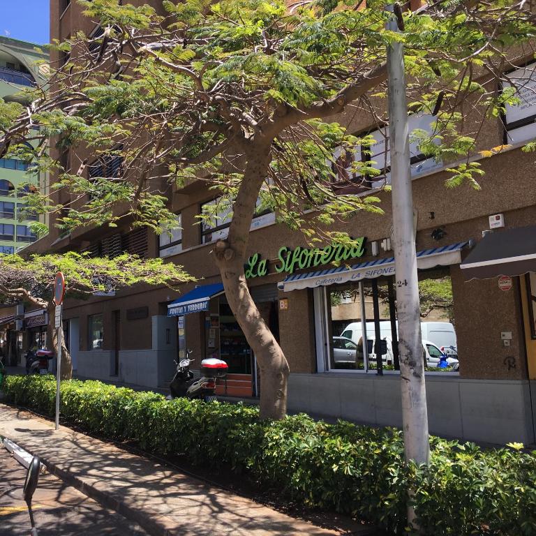 Vacacional Anaga ideal descanso parking gratuito - Apartamento de 1 dormitorio - 32