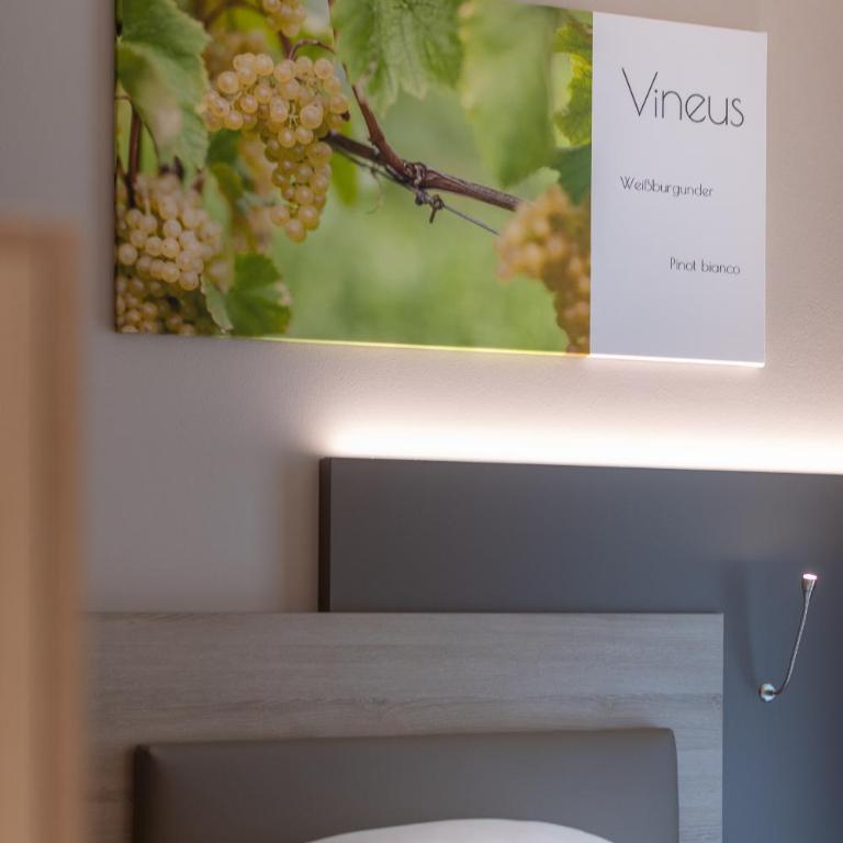 Vineus Tramin - Camera Singola con Balcone - 3