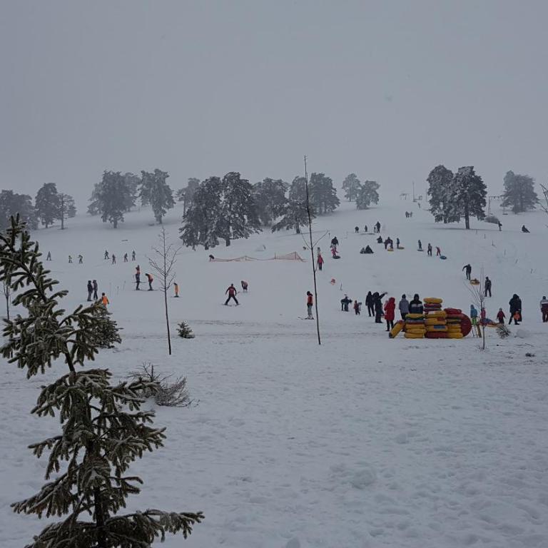 Apartman Dalija - Apartman - 22