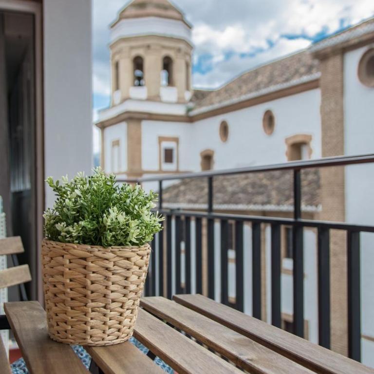 Pinsapo (Centro ciudad) - Apartamento Deluxe - 15