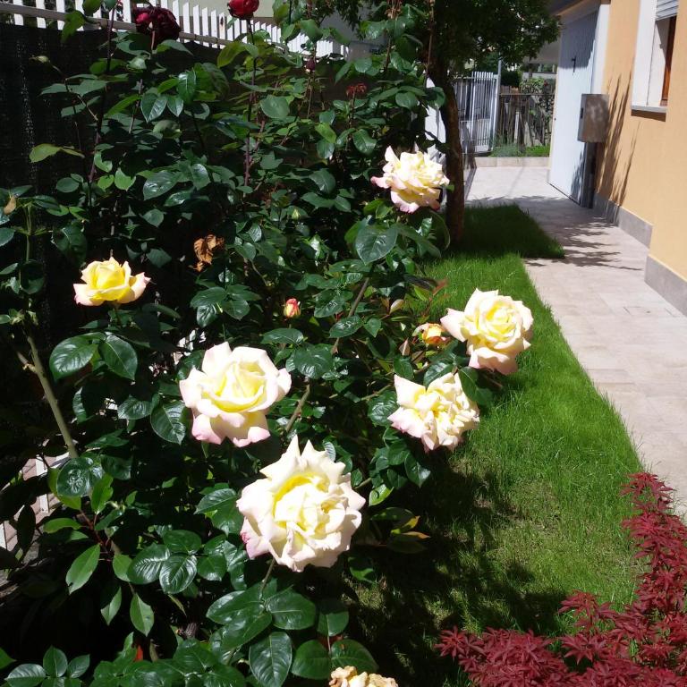 Villa Al Sole - Casa con 3 Camere da Letto - 25
