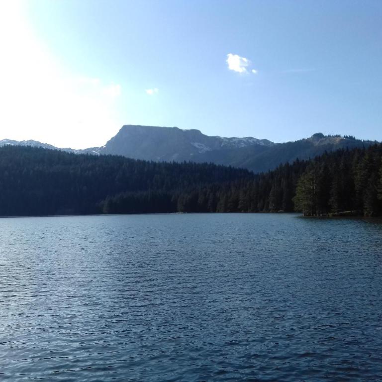 Apartment Home Popovic - Apartment - 54