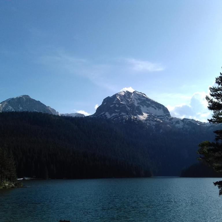 Apartment Home Popovic - Apartment - 49