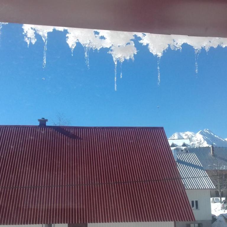 Apartment Home Popovic - Apartment - 48