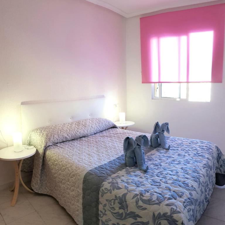 Viñamar La Mata - Apartamento con terraza - 7