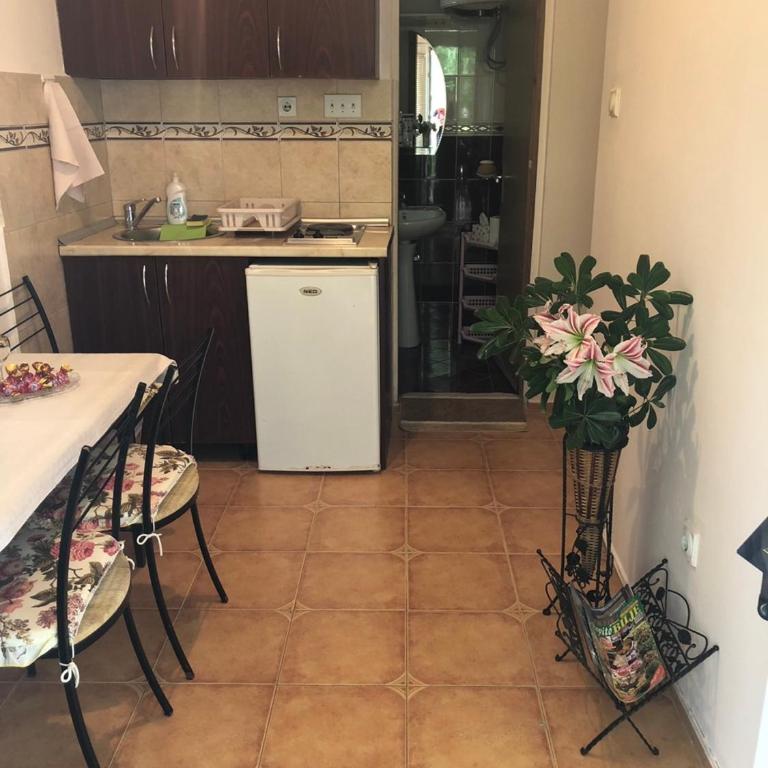 Apartments Ant - Apartman sa Balkonom - 6