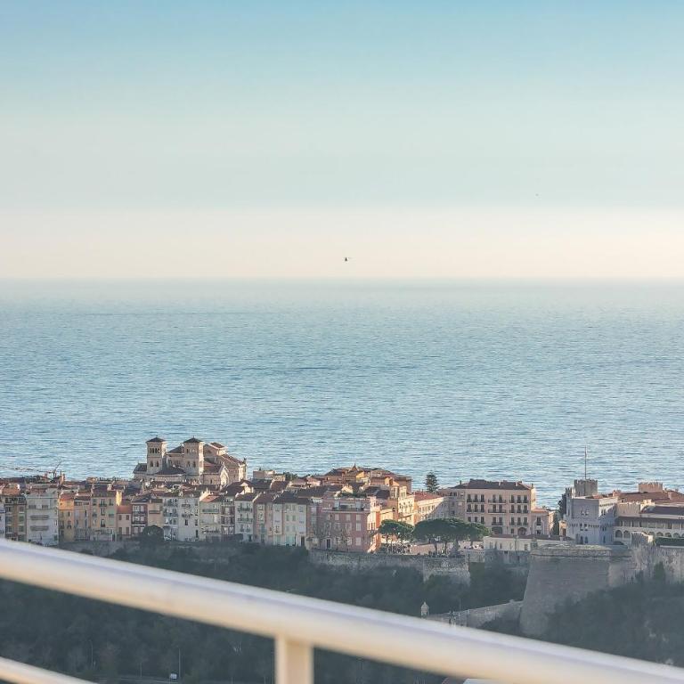 Luxury Monaco Sea View Penthouse Le Lord - Apartamento con terraza - Ático - 12