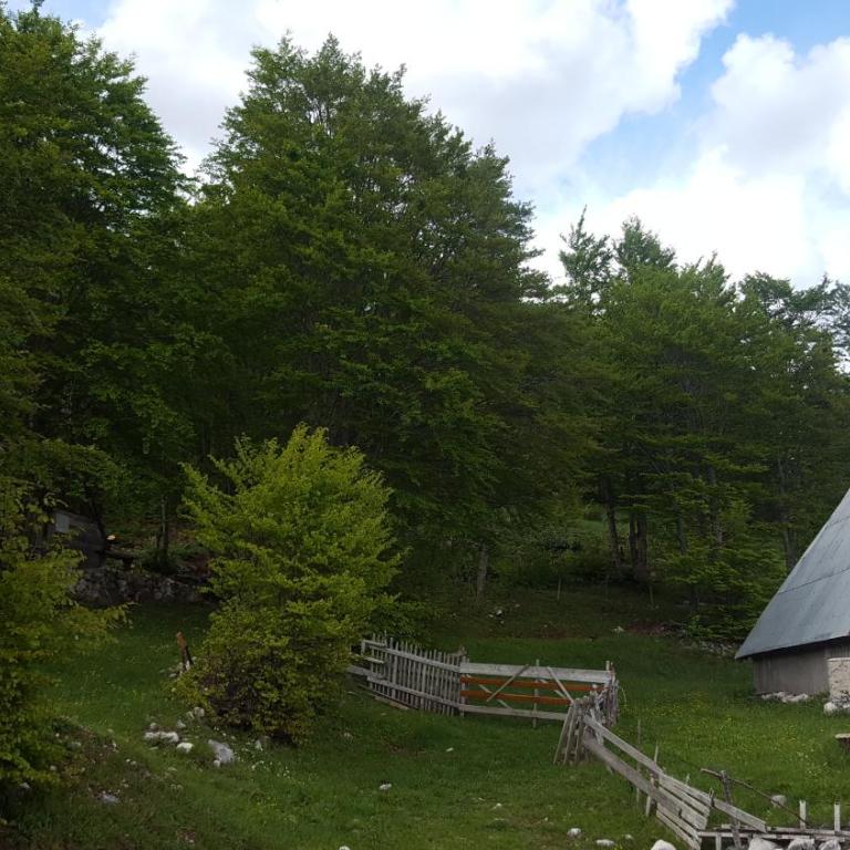 Hawkeye - Vacation Home - 22