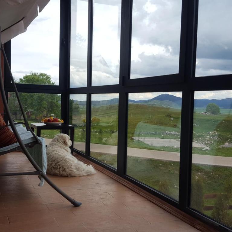Hawkeye - Vacation Home - 3