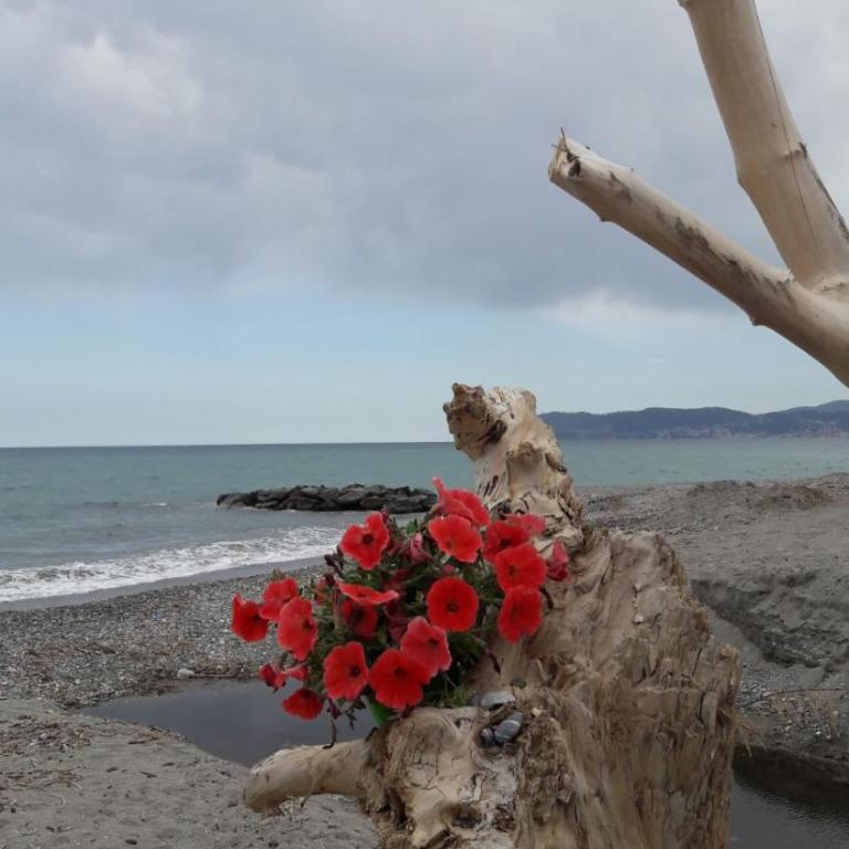 Appartamento vista mare - Appartamento - 66