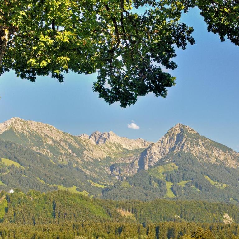 Hotel Alpenblick - Doppelzimmer - 1