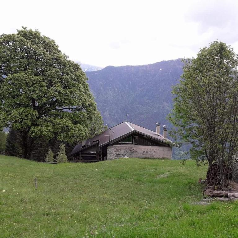 Baita Martin da Fist - Chalet - 30