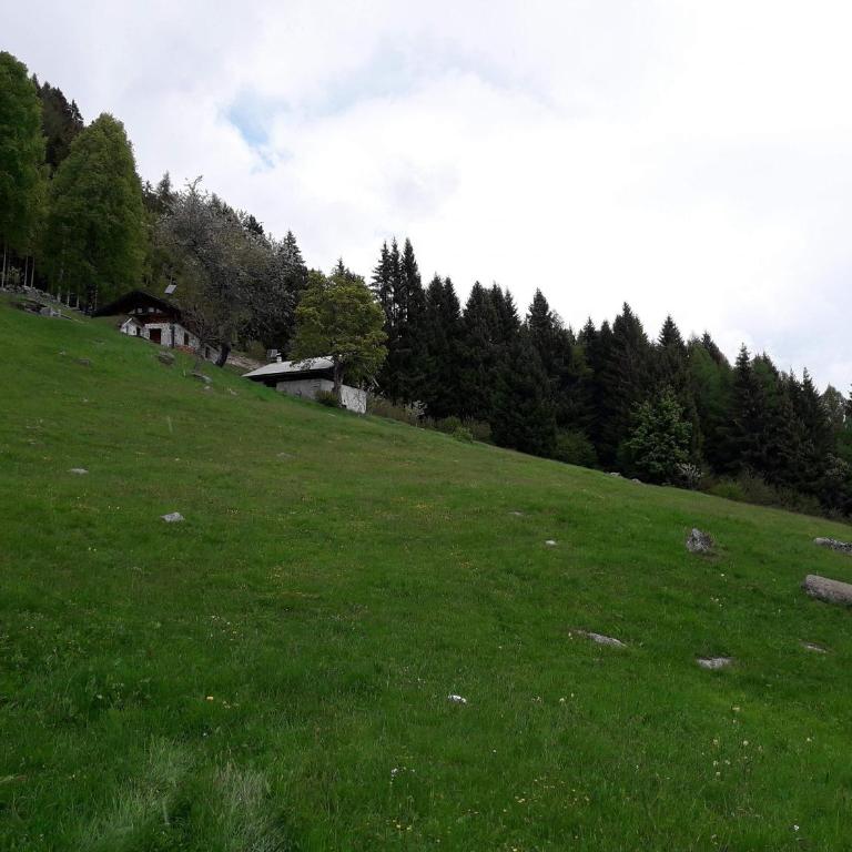 Baita Martin da Fist - Chalet - 32