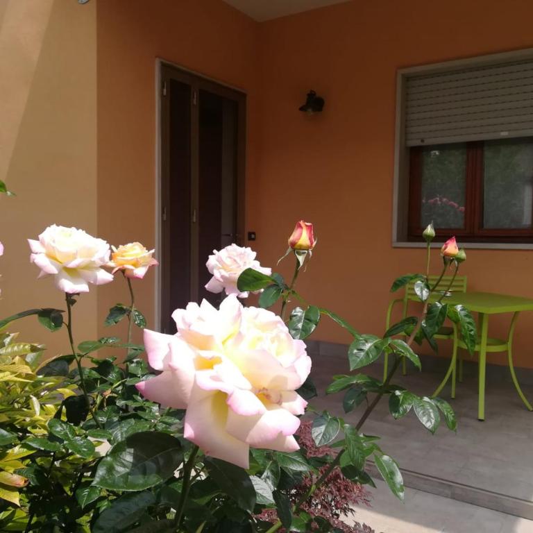 Villa Al Sole - Casa con 3 Camere da Letto - 8