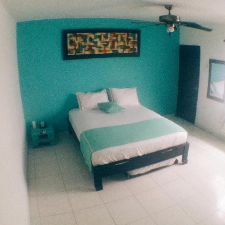QuillaHost Tropical Apartment - Apartamento de 1 dormitorio - 18