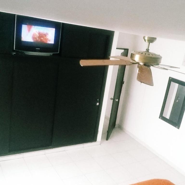 QuillaHost Tropical Apartment - Apartamento de 1 dormitorio - 23