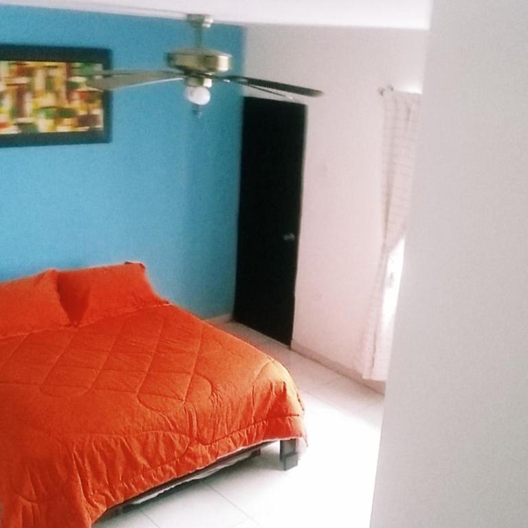 QuillaHost Tropical Apartment - Apartamento de 1 dormitorio - 35