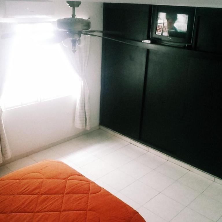 QuillaHost Tropical Apartment - Apartamento de 1 dormitorio - 53