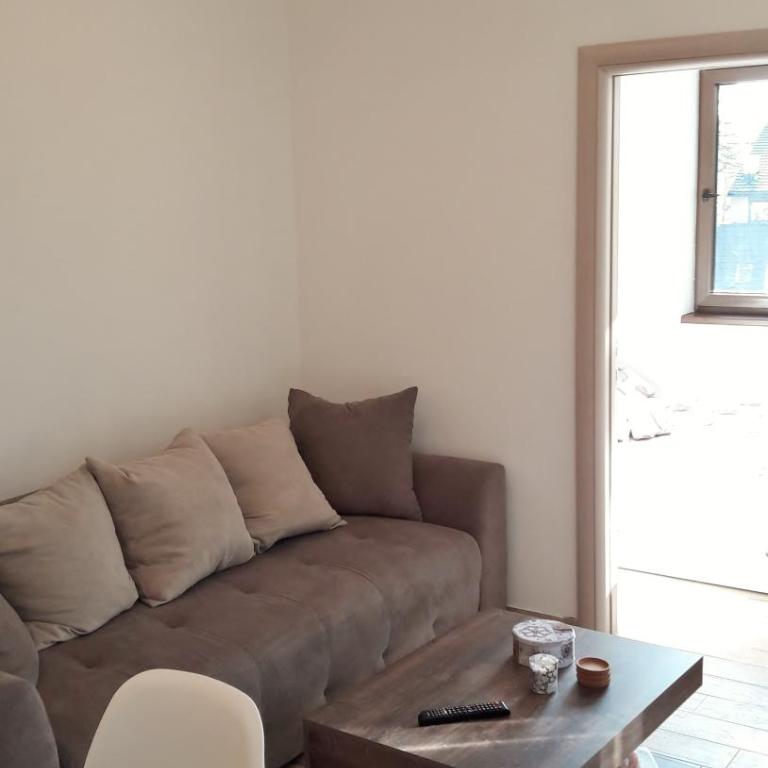 Zlatibor Wood - Apartman - 10