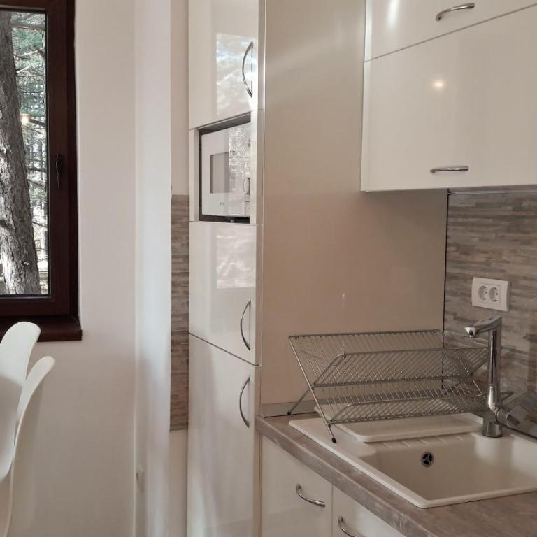 Zlatibor Wood - Apartman - 7