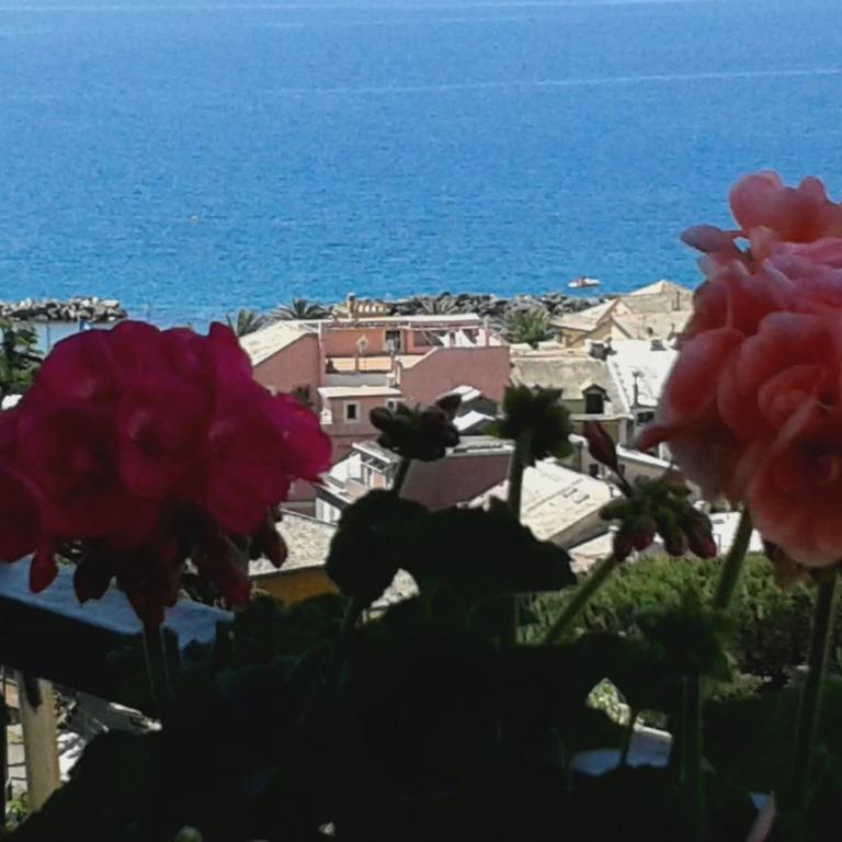 Appartamento Bellavista - Appartamento Standard - 1