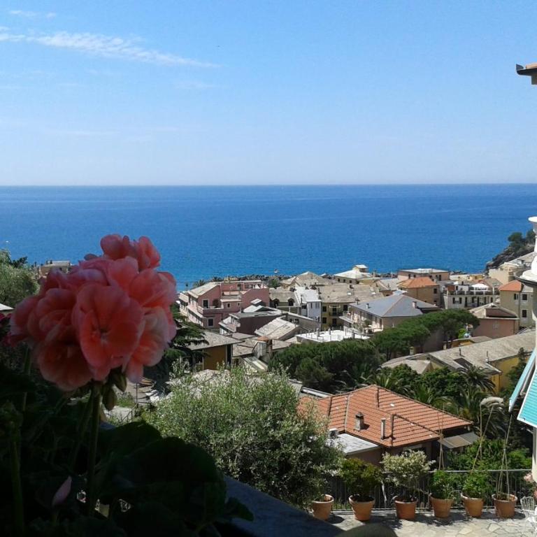 Appartamento Bellavista - Appartamento Standard - 3
