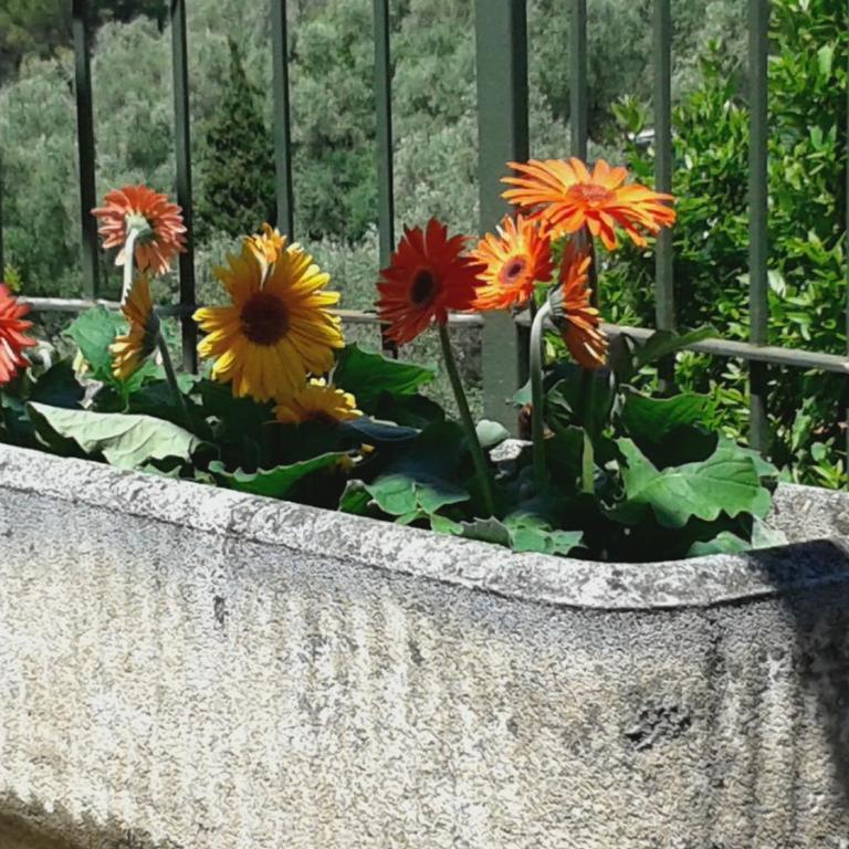 Appartamento Bellavista - Appartamento Standard - 7