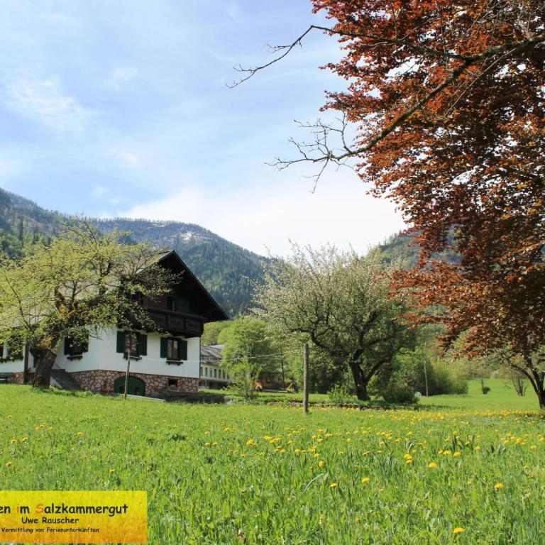 Haus Seeruhe - direkt am Grundlsee - Casa - 9