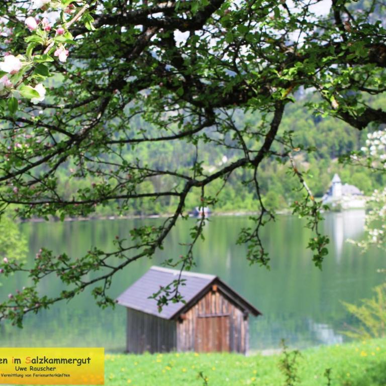 Haus Seeruhe - direkt am Grundlsee - Casa - 11