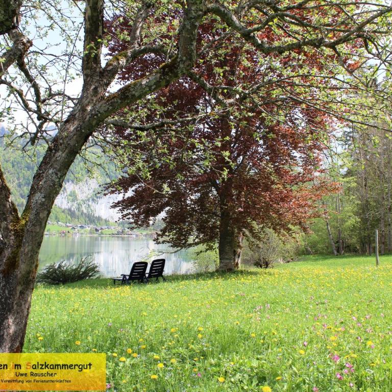 Haus Seeruhe - direkt am Grundlsee - Casa - 22