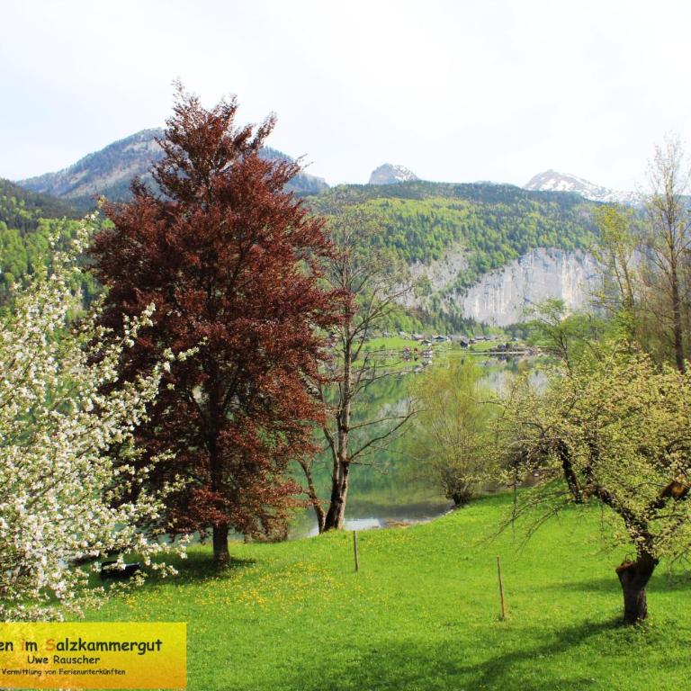 Haus Seeruhe - direkt am Grundlsee - Casa - 30