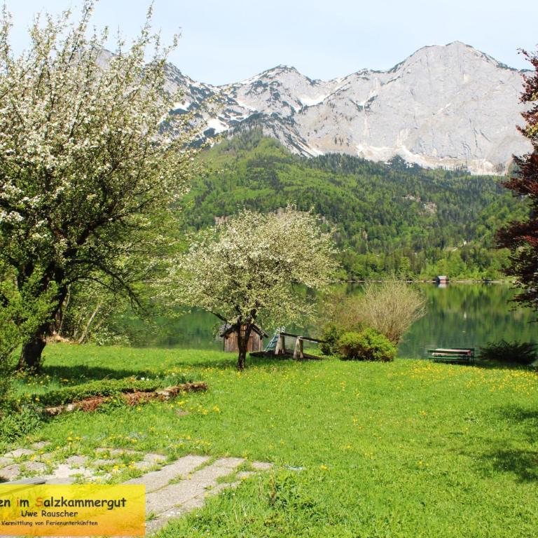 Haus Seeruhe - direkt am Grundlsee - Casa - 31