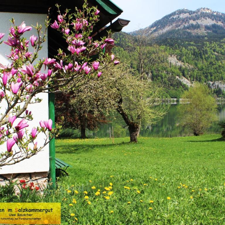 Haus Seeruhe - direkt am Grundlsee - Casa - 35